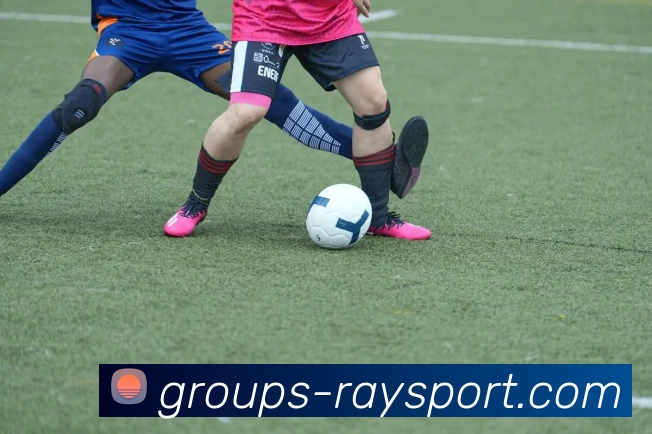 雷竞技平台平台生态图