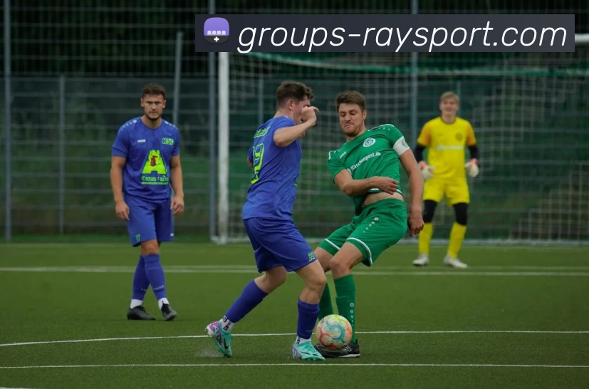 雷竞技平台全站App